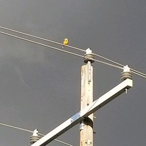 Meet your Posher, Ma dolores